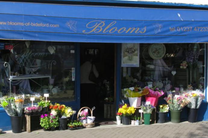 Blooms of Bideford