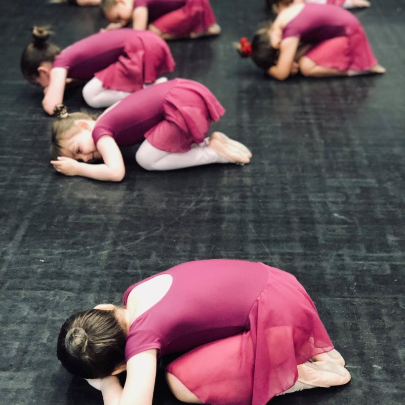 louisa hockin school of performing arts bideford bideford college ballerinas