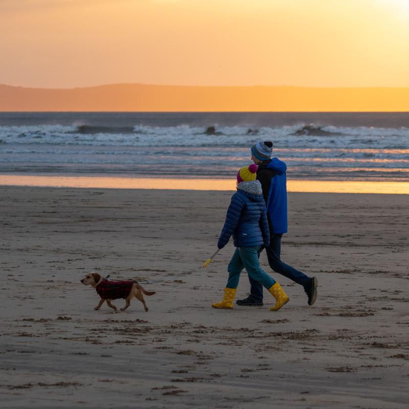 dog walking on westward ho beach
